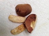 Tylopilus tabacinus image