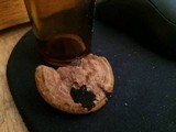 Phellinus gilvus image