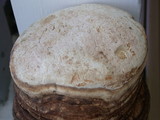 Fomitopsis officinalis image