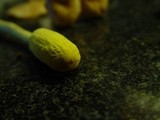 Leucocoprinus castroi image