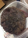 Calvatia cyathiformis image