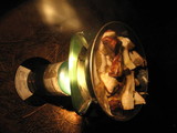 Boletus rex-veris image