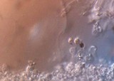 Panaeolus cinctulus image