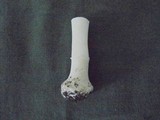 Amanita verna image