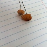 Marasmius siccus image