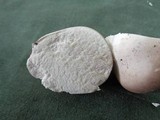 Lycoperdon molle image