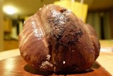 Suillus luteus image