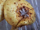 Pholiota limonella image