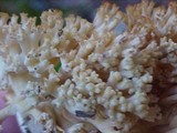 Ramaria stricta image