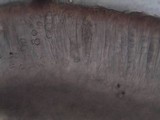 Collema auriforme image