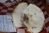 Amanita smithiana image