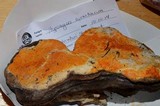 Hypomyces aurantius image