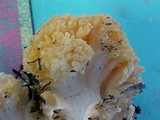 Ramaria velocimutans image