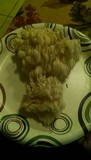 Hericium americanum image