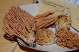 Ramaria flavigelatinosa image