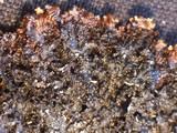Melanelia hepatizon image