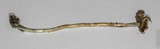 Psilocybe semilanceata image
