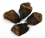 Strobilurus diminutivus image