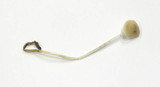 Mycena vitilis image