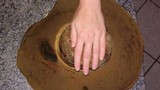 Phlebopus sudanicus image
