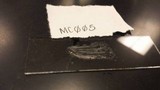 Lactarius psammicola image
