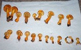 Gymnopilus luteus image
