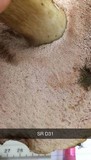 Tylopilus felleus image