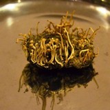 Onygena corvina image