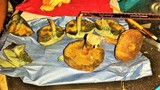 Boletellus chrysenteroides image