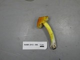 Hygrocybe acutoconica image