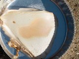 Amanita elliptosperma image