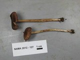 Entoloma cystomarginatum image