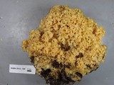 Sparassis crispa image