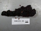 Exidia nigricans image