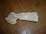 Perenniporia medulla-panis image