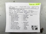 Amanita crassiputamen image