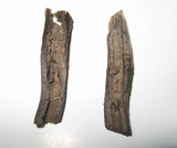 Neohygrocybe subovina image