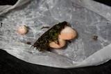 Crepidotus roseus image
