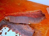 Ganoderma oerstedii image