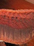 Ganoderma oerstedii image