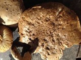 Amanita pruittii image