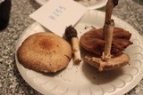 Agaricus porphyrocephalus image