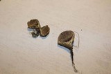 Lycoperdon pratense image