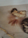 Bolbitius vitellinus image