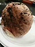 Hygrophorus russula image