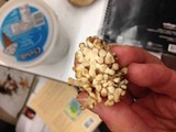 Tremellodendron pallidum image