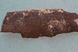 Mycoacia fuscoatra image
