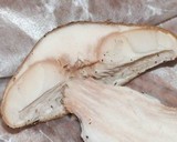 Armillaria solidipes image