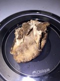 Bjerkandera adusta image