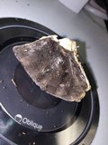 Bjerkandera adusta image
